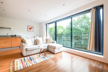 image of Denmark Hill, 