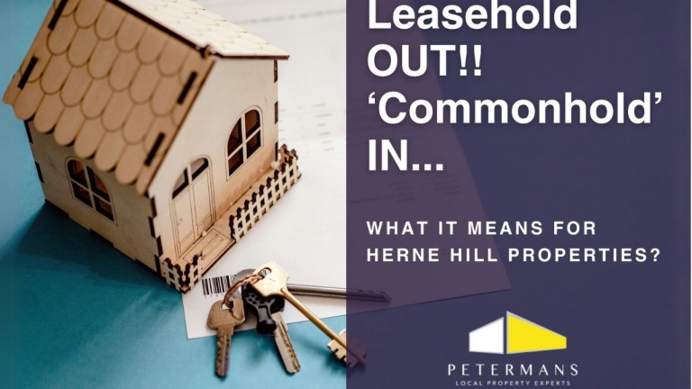 Leasehold Reform - The impact on Herne Hill 